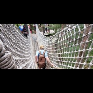 Meet your Posher, Jake